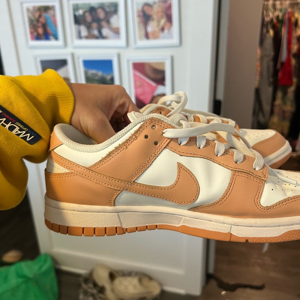 Harvest moon Nike dunks size 9